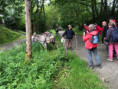 /album/inter-clubs-19-05-2026/interclub-mayenne-19-mai-2026-5-jpg/